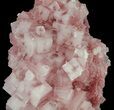 Pink Halite Crystal Plate - Trona, California #61065-1